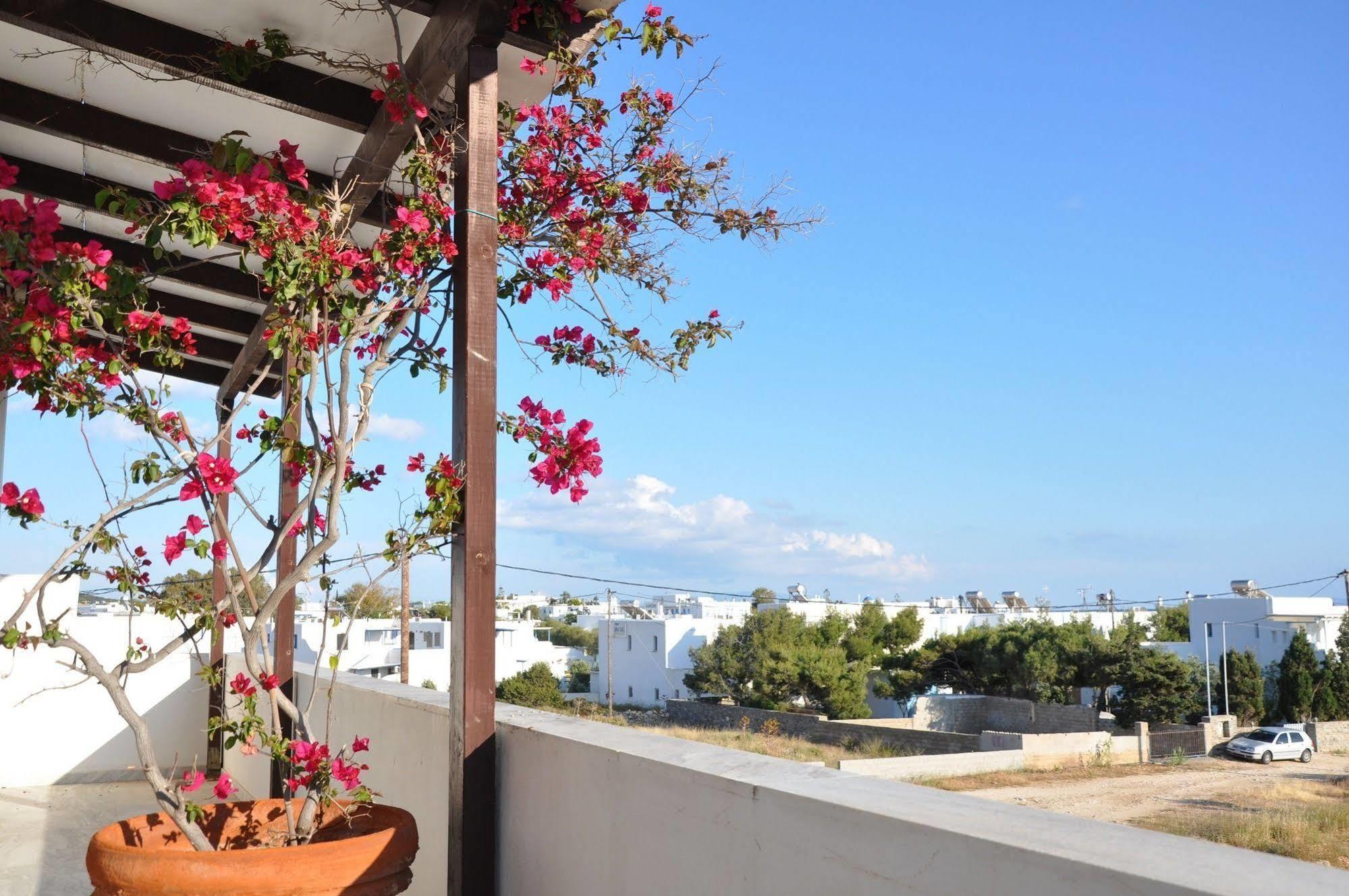 Michalis Apartments Near The Beaches With Sea View Paro Esterno foto